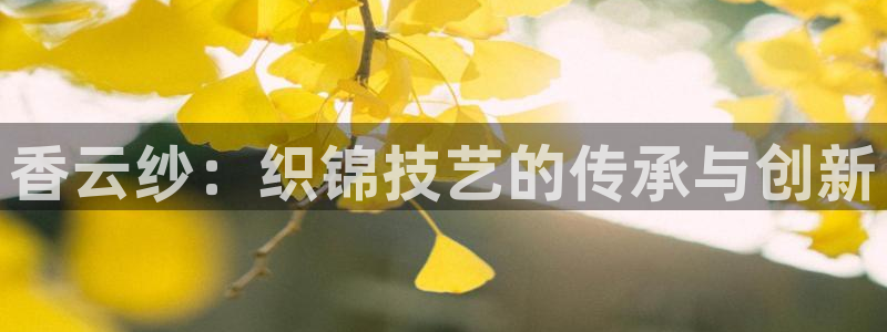 乐发ii下载平台