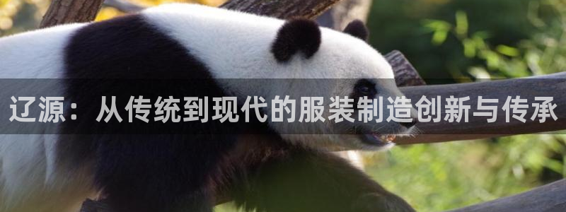 乐发1彩票平台在校下载