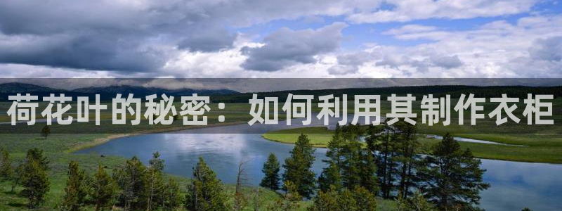 乐发平台注册地址