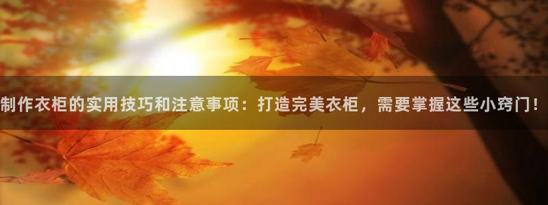 乐发II平台官方