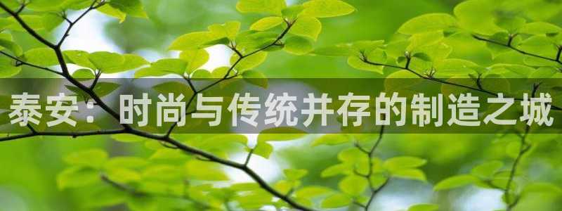 乐发iv平台
