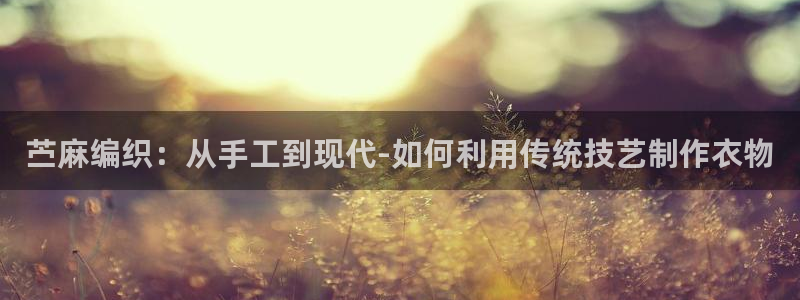 乐发IV_平台