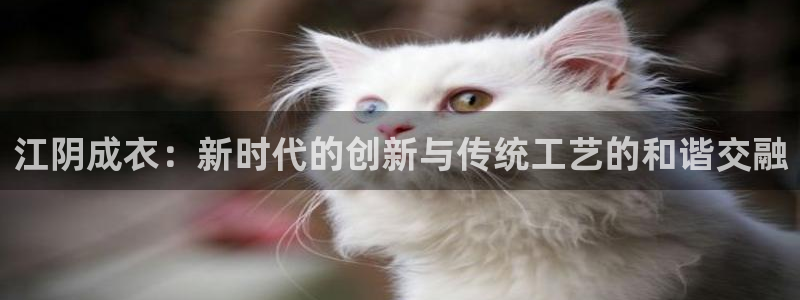 乐发IV投大小平台