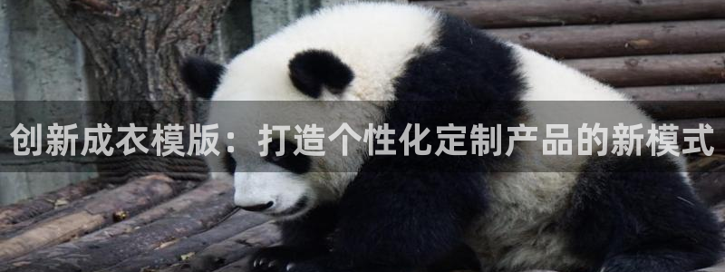 乐发平台今天咋打不开