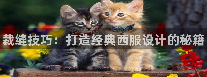 乐发彩票直播平台官网