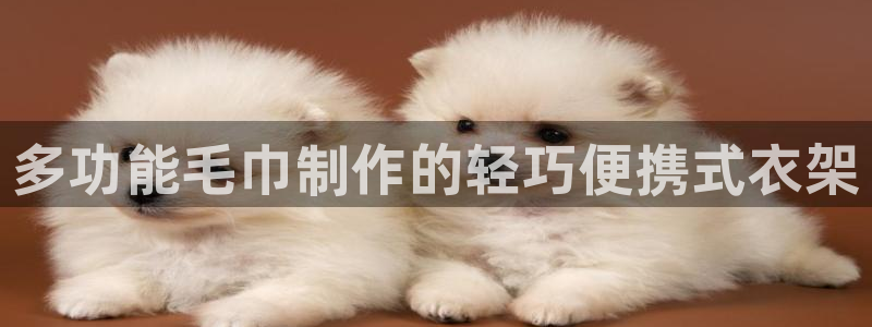 乐发体育平台官网