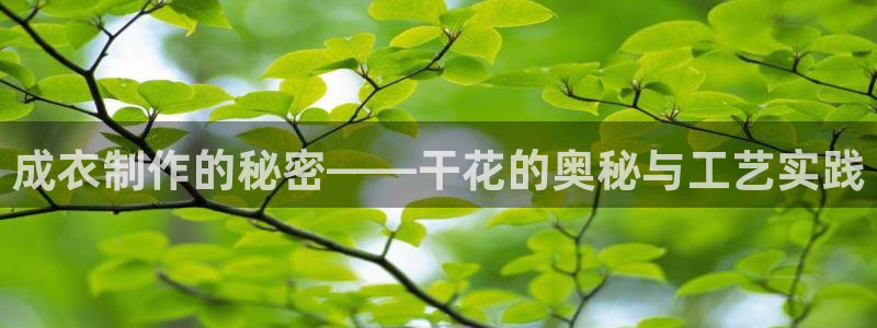 乐发彩票是黑平台吗