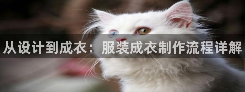 乐发快3大小单双平台