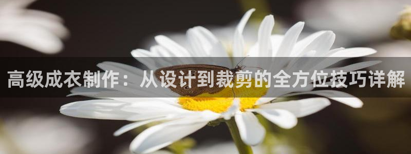 乐发彩票平台网址是什么