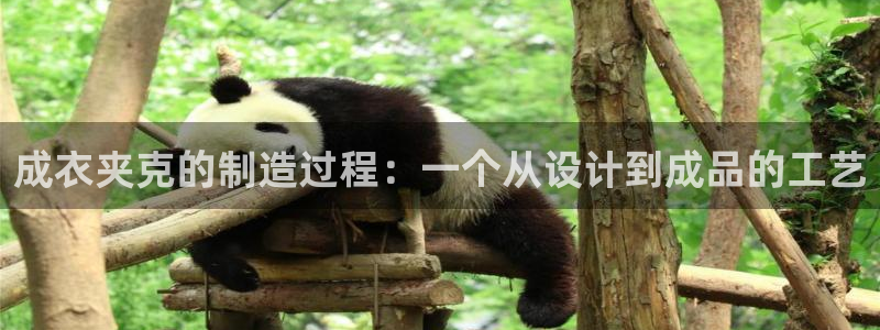 乐发VIII平台