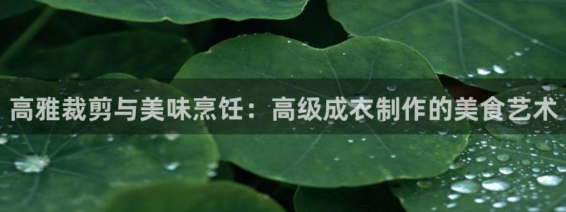 凯发百家乐AG平台