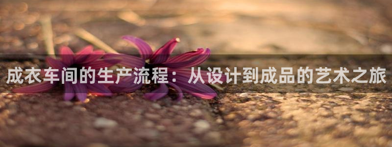 乐发平台多久了