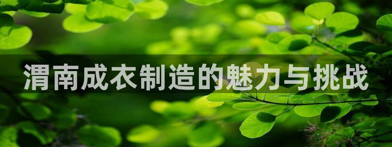 乐发彩票平台网址是多少