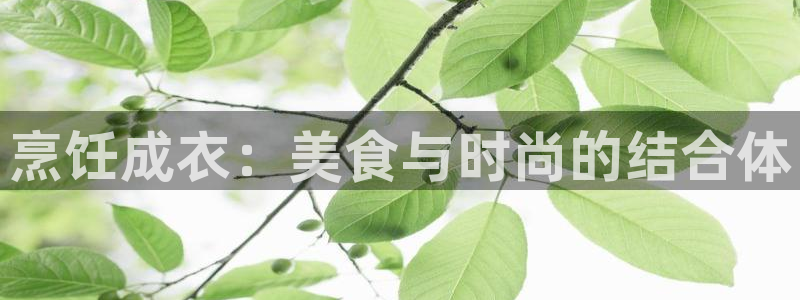 乐发彩票最新平台