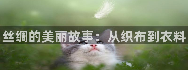 乐发彩票平台跑路了吗