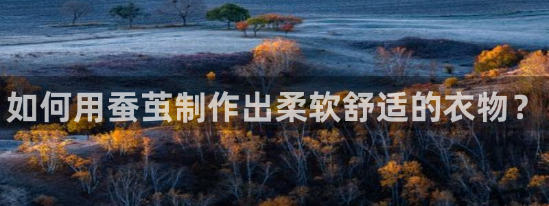 乐发是正规大平台吗