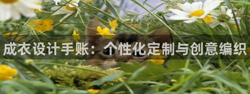 乐发传媒是怎样的平台