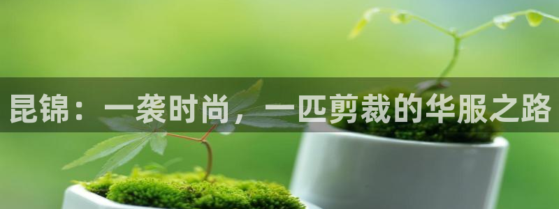 乐发平台注册流程图片