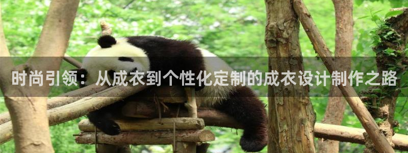 乐发彩票直播平台怎么样