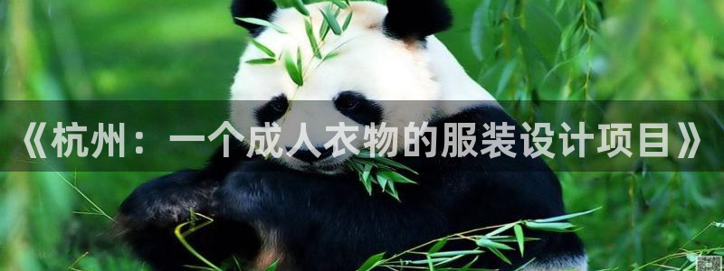 乐发500大小单双平台