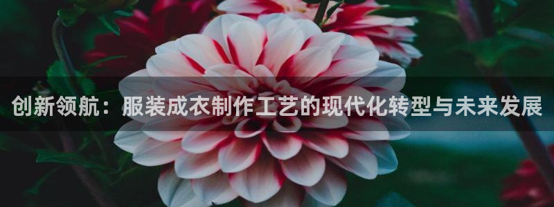 乐发Iv彩票官方平台