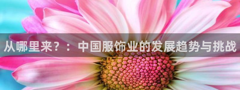 乐贷公告是什么平台发的