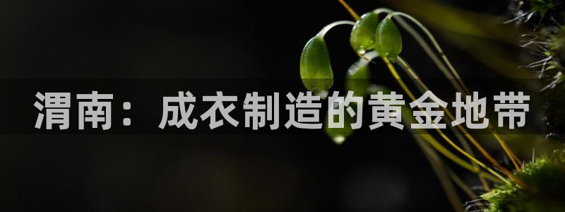 乐发彩票app平台大全