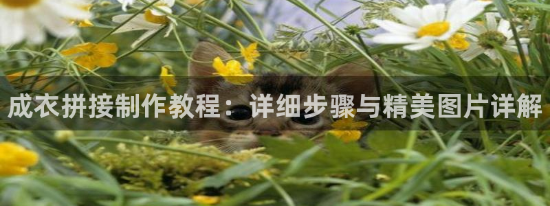 乐发国际官网平台